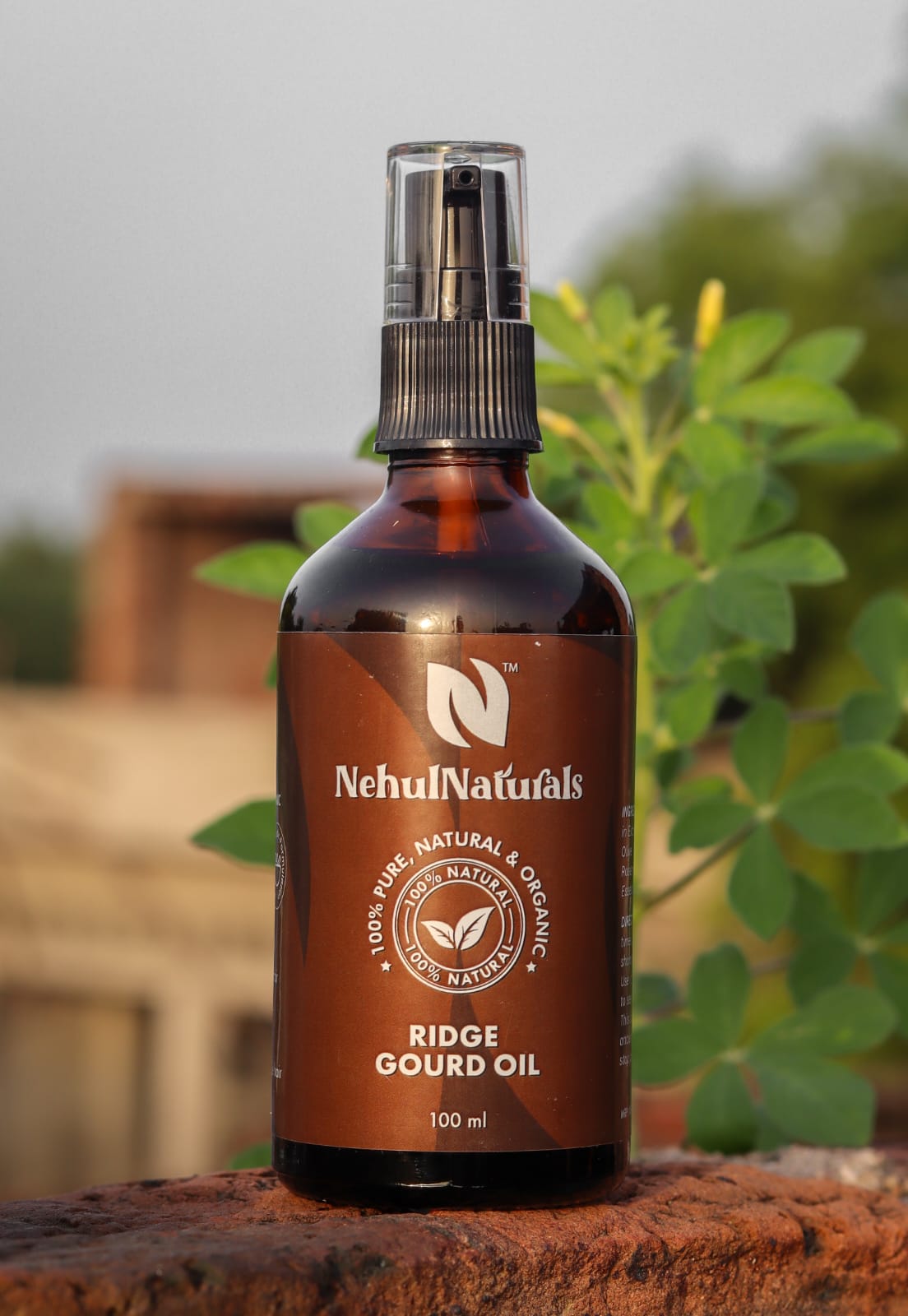 Ridge Gourd Oil – NEHUL NATURALS